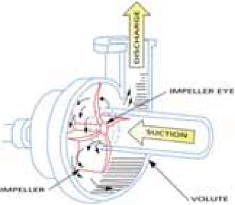 reverse flow through centrifugal pump|centrifugal pump reversing direction.